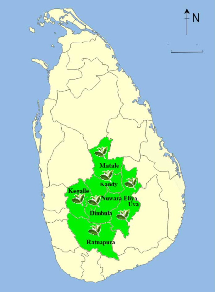 Tea-producing-hill-country-of-Sri-Lanka-Source-Map-adapted-from-Survey-Department-of