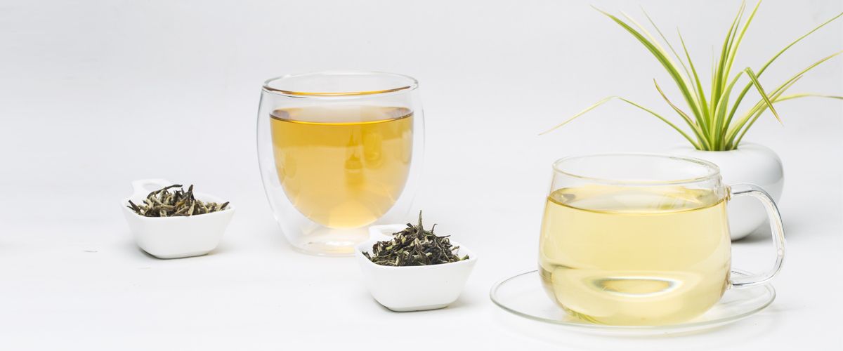 Tea’s Anti-Obesity Properties and Cardiometabolic Health Benefits: Focus on White and Green Teas