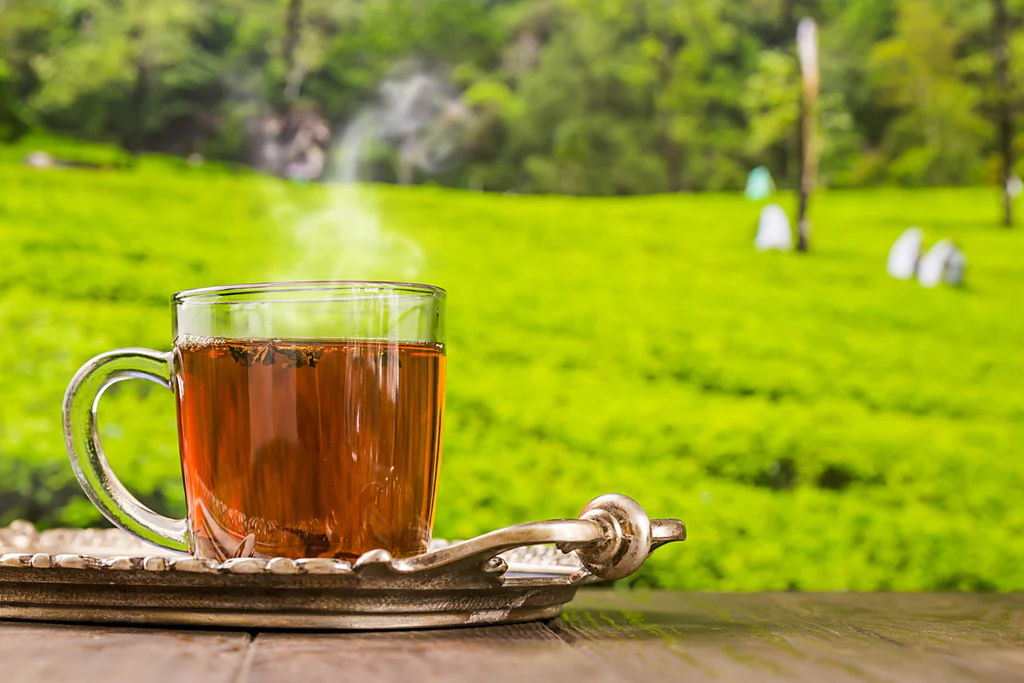 tea-glass-cup-wooden-table-tea-plantations-background_1024x1024