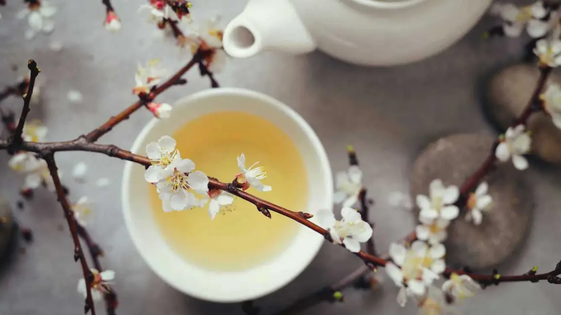 white-tea-in-cup-1296×728